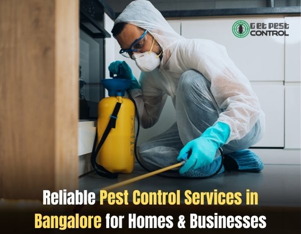 Pest control technician wearing protective gear treating a kitchen interior in Bangalore.
