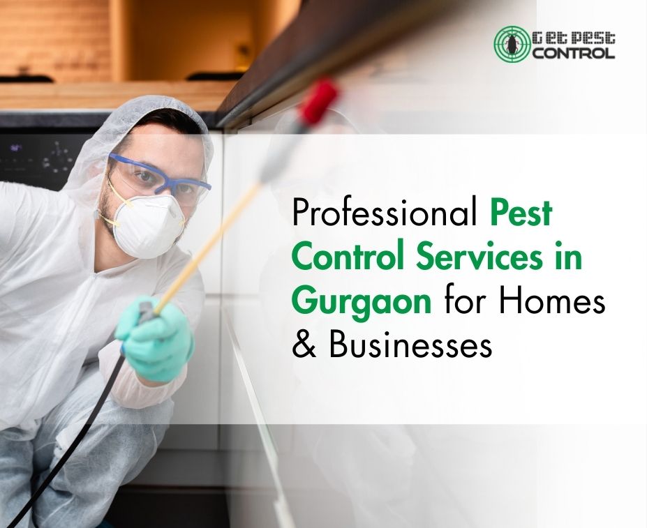 An image showing pest control technician treating kitchen cabinets in Gurgaon