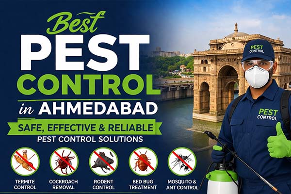 Pest control services in Ahmedabad for home and office