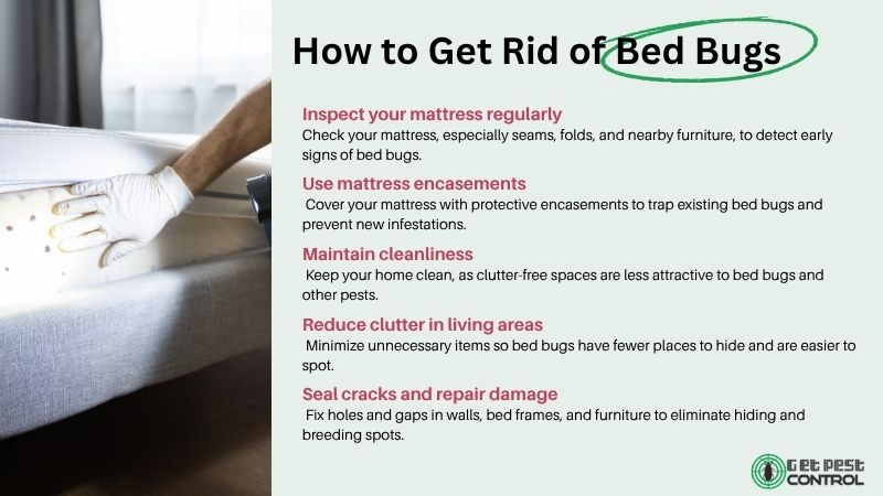 Infographic showing how to get rid of bed bugs, including mattress inspection, encasements, cleaning, decluttering, and sealing cracks.