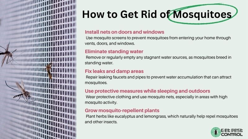 Infographic showing how to get rid of mosquitoes, including installing nets, removing standing water, fixing leaks, using protection, and growing repellent plants.