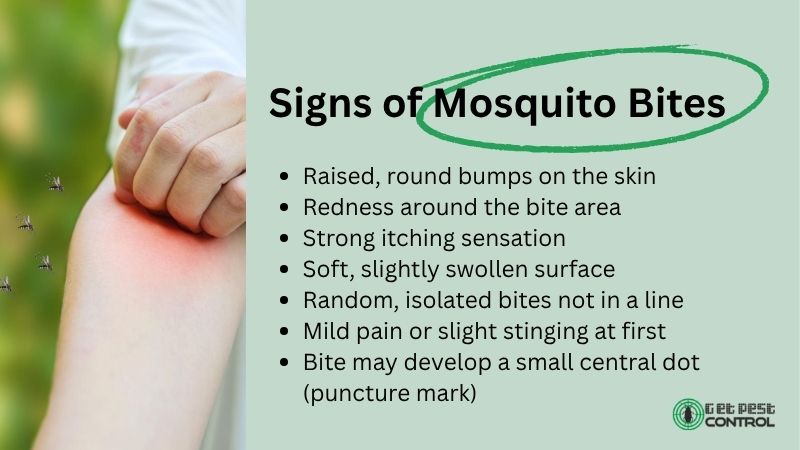 Infographic showing signs of mosquito bites, including raised round bumps, itching, redness, and randomly scattered bite patterns.